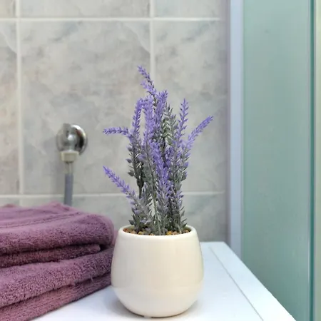 公寓 Julijana 2149 佩罗杰